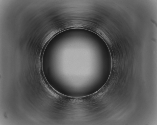 X0000097630890200802291337