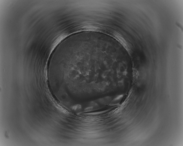 X0000097630891200802291337