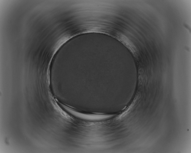 X0000097630892200802291337