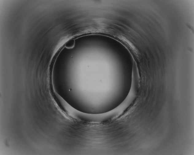 X0000097630894200802291337
