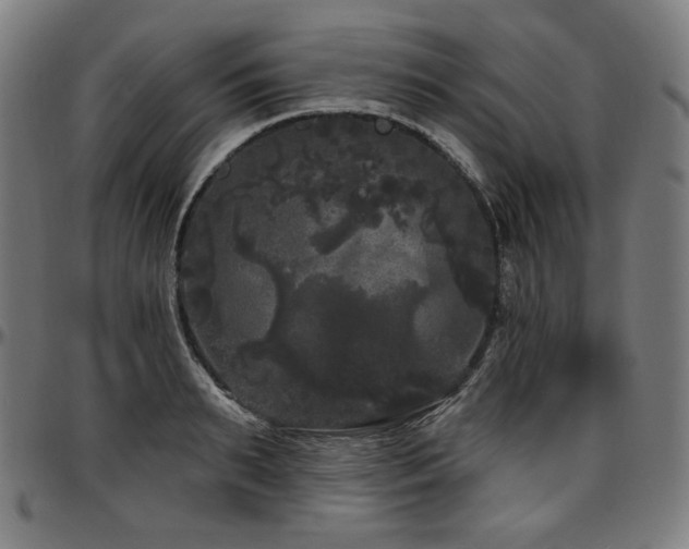 X0000097630895200802291337