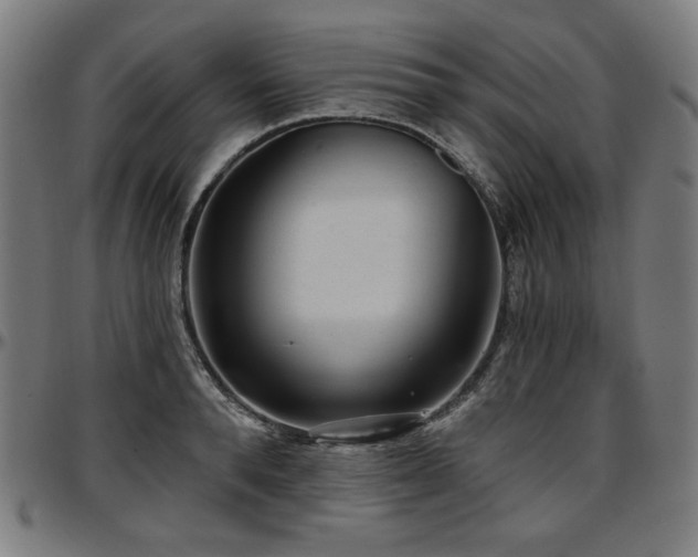 X0000097630896200802291337