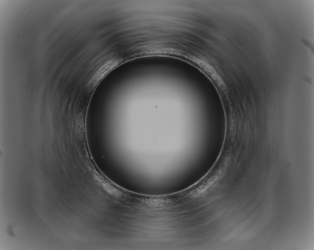 X0000097630897200802291337
