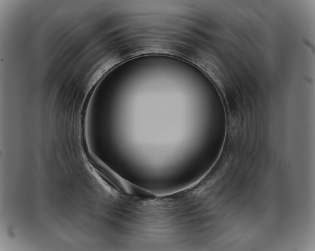 X0000097630898200802291337