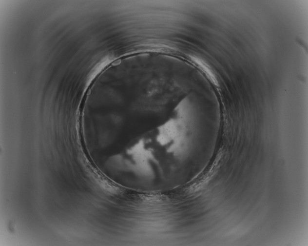 X0000097630899200802291337