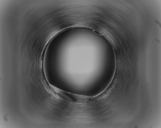 X0000097630900200802291337