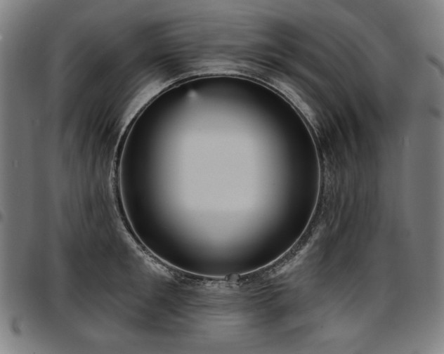 X0000097630901200802291337