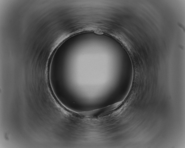 X0000097630902200802291337