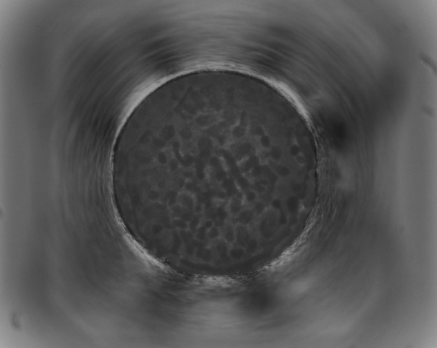 X0000097630903200802291337