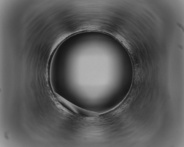X0000097630904200802291337