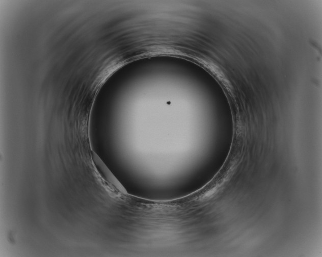 X0000097630905200802291337