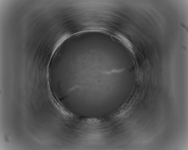 X0000097630907200802291337