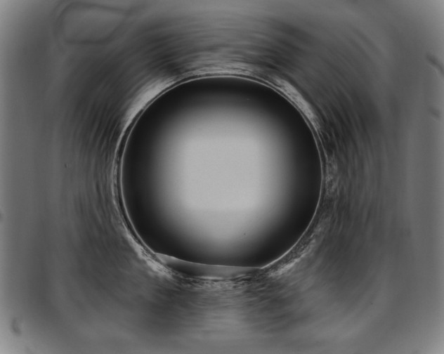 X0000097630909200802291337
