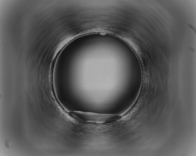 X0000097630910200802291337