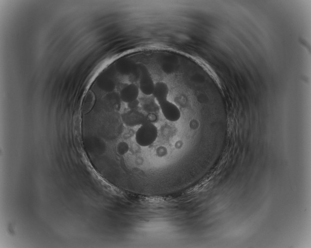 X0000097630911200802291337