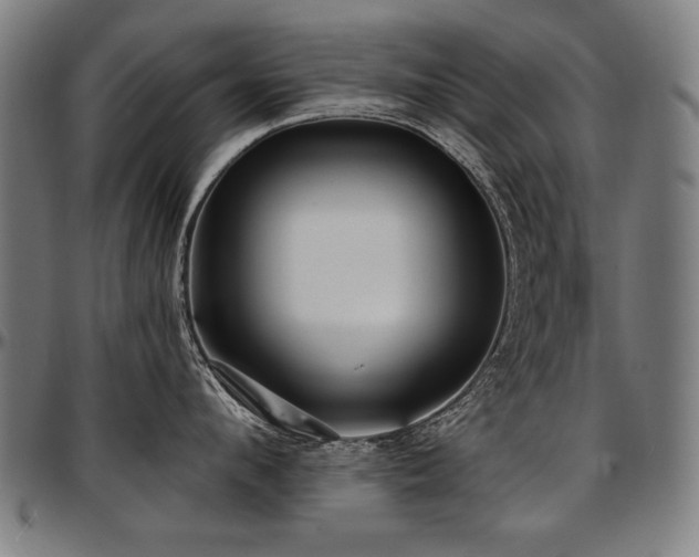 X0000097630912200802291337