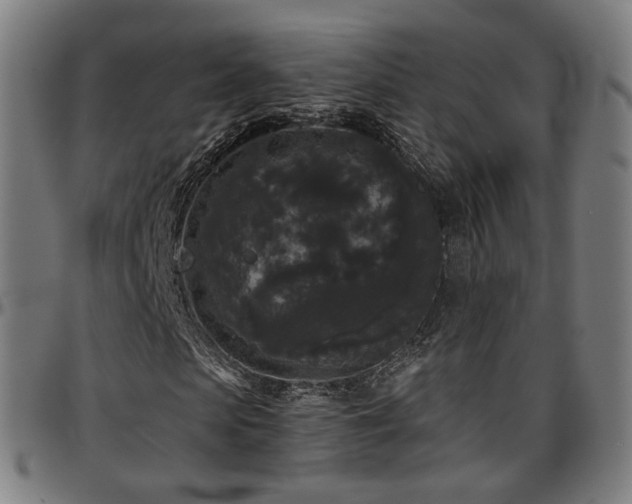 X0000097630913200802291336