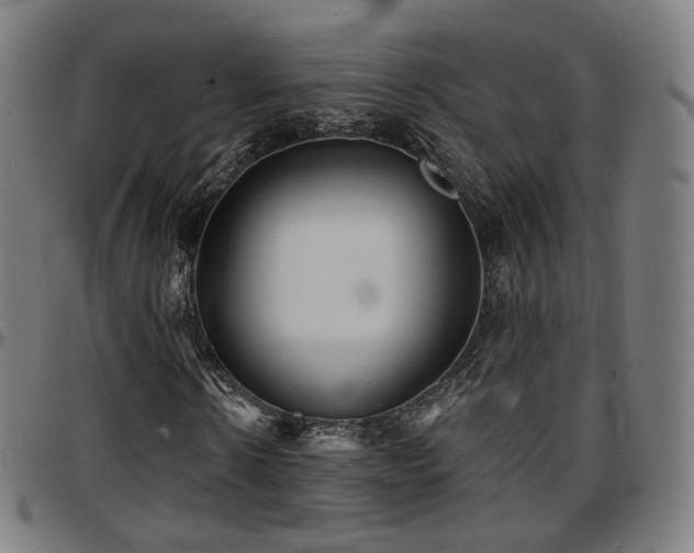 X0000097630914200802291336