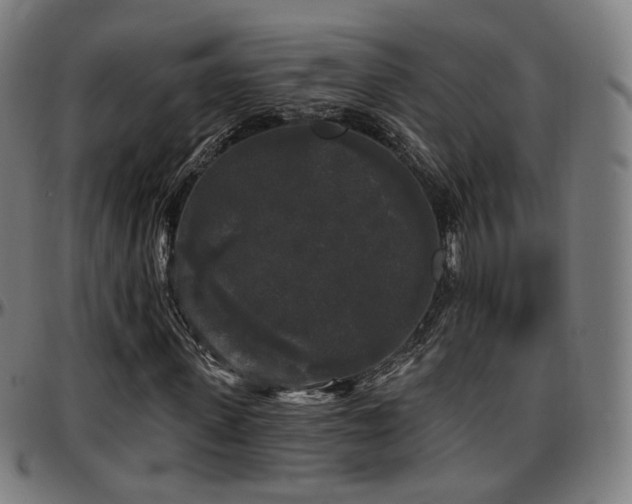 X0000097630915200802291336