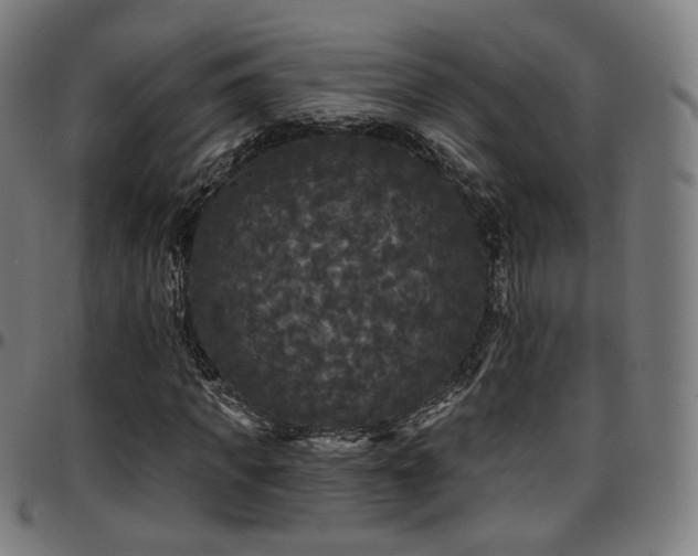 X0000097630917200802291336