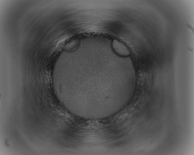 X0000097630918200802291336