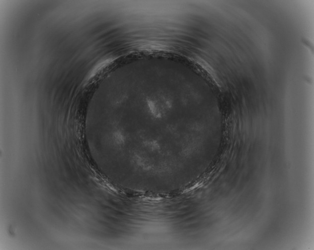 X0000097630919200802291336