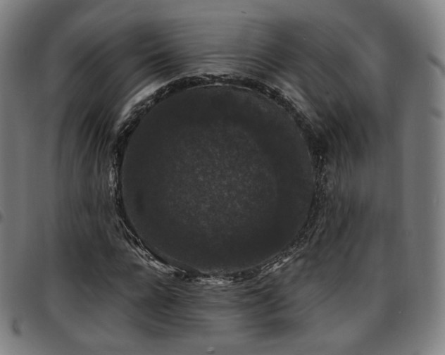 X0000097630920200802291337