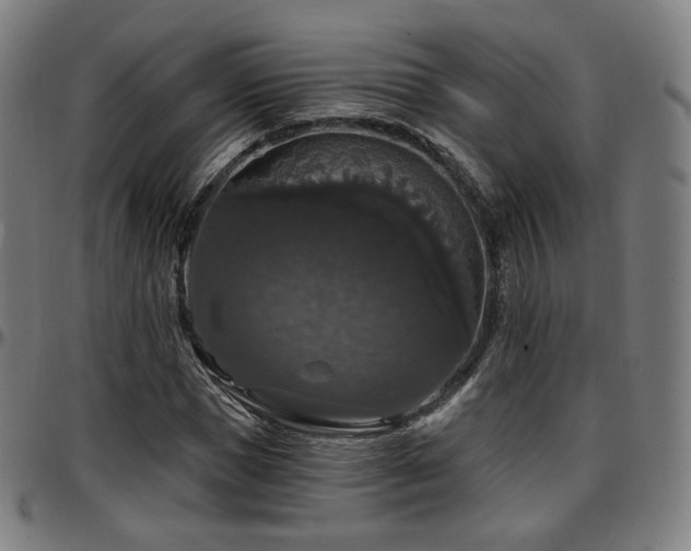 X0000097630921200802291337