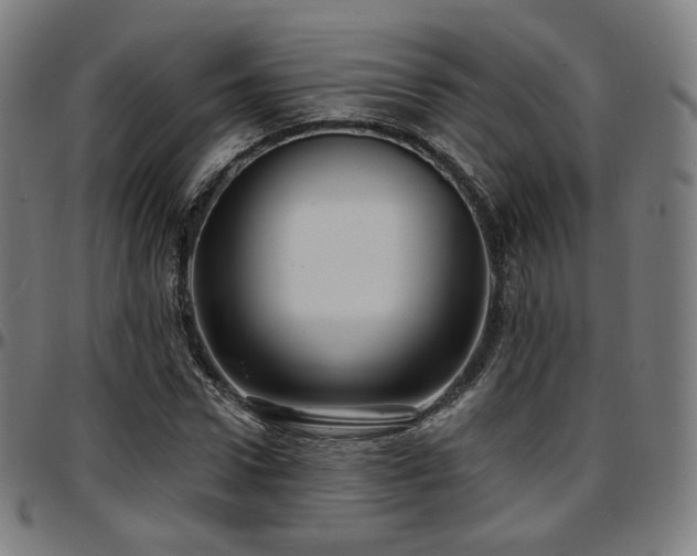 X0000097630922200802291337