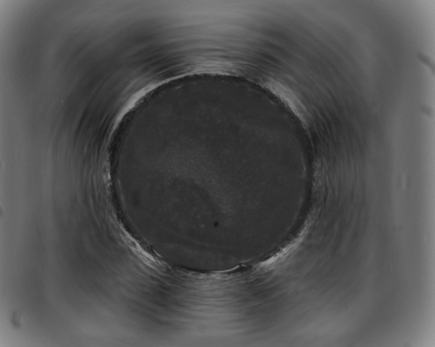 X0000097630923200802291337