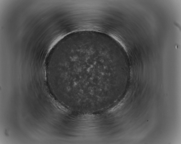X0000097630925200802291337