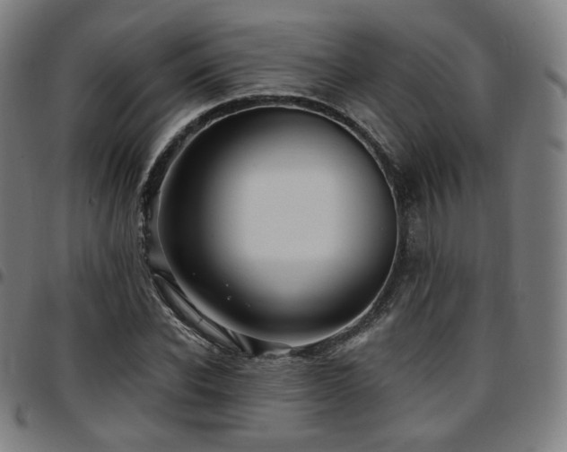 X0000097630926200802291337