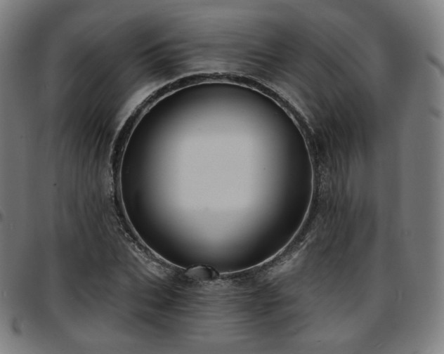 X0000097630927200802291337