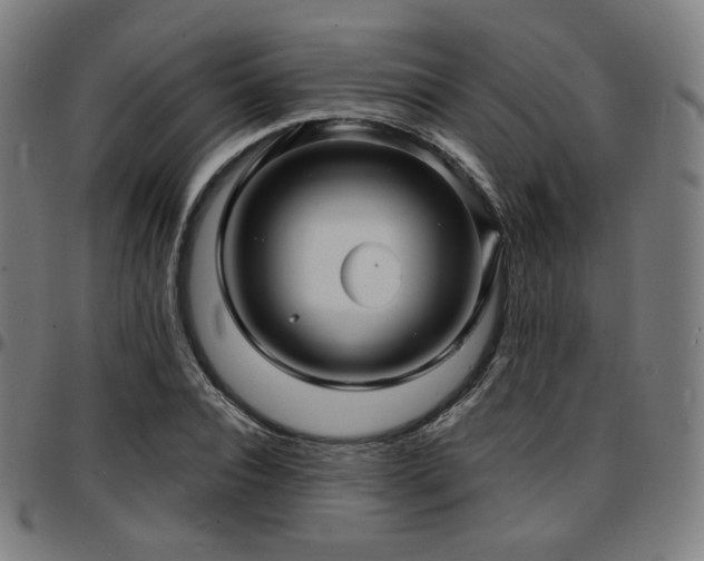 X0000097630928200802291337