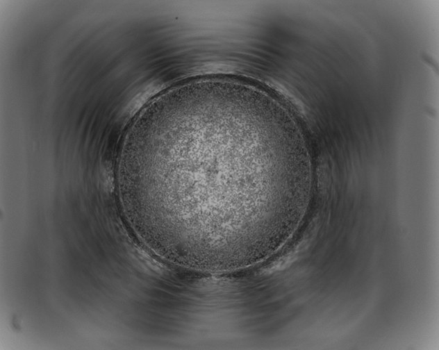 X0000097630929200802291337