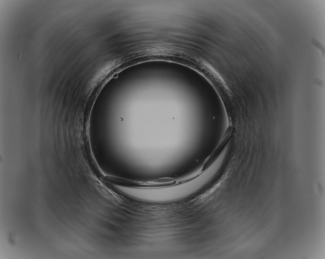 X0000097630930200802291337
