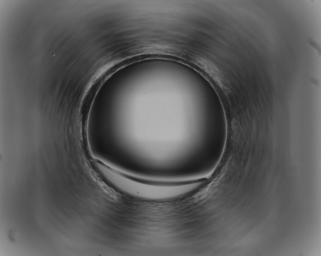 X0000097630931200802291337