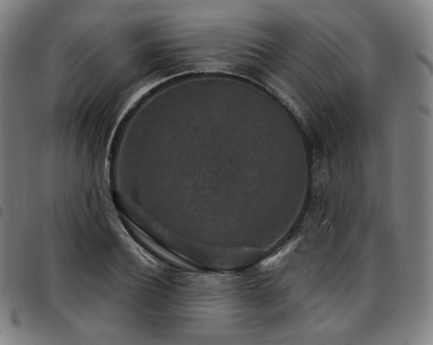 X0000097630932200802291337