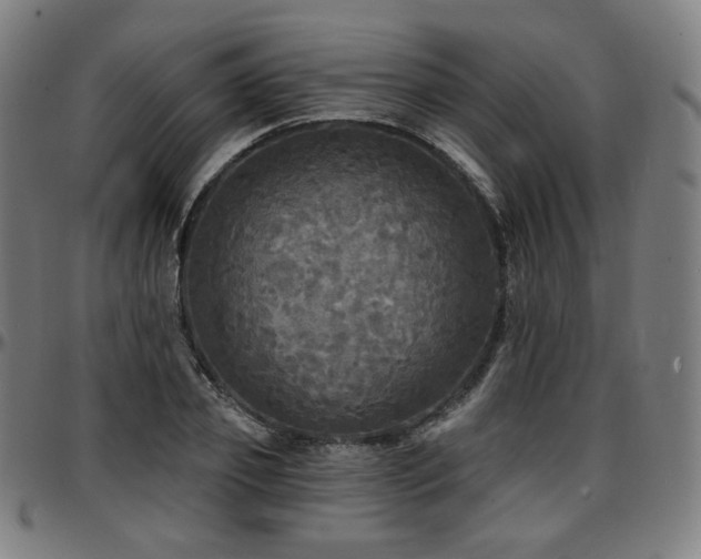 X0000097630933200802291337