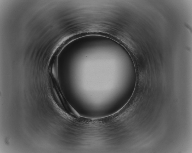 X0000097630934200802291337