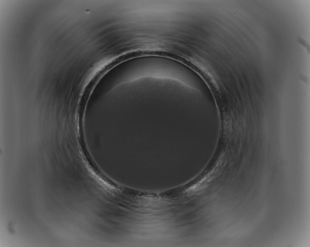 X0000097630935200802291337