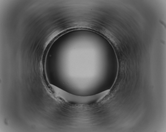 X0000097630936200802291337