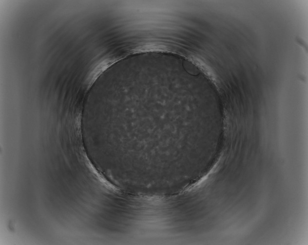 X0000097630937200802291337