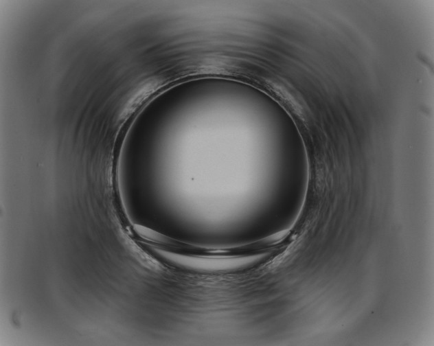X0000097630938200802291337