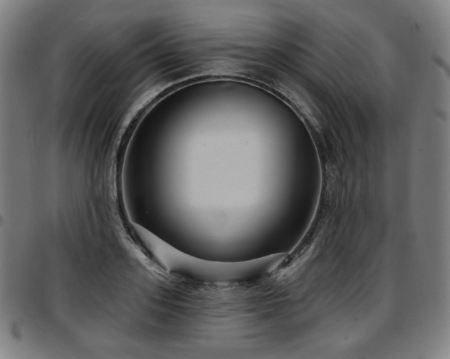 X0000097630939200802291337