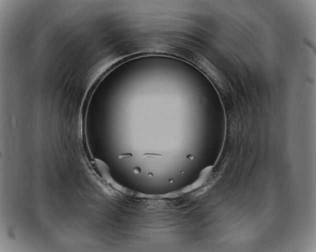 X0000097630940200802291337