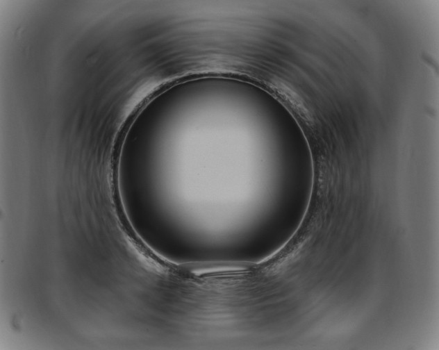 X0000097630942200802291337