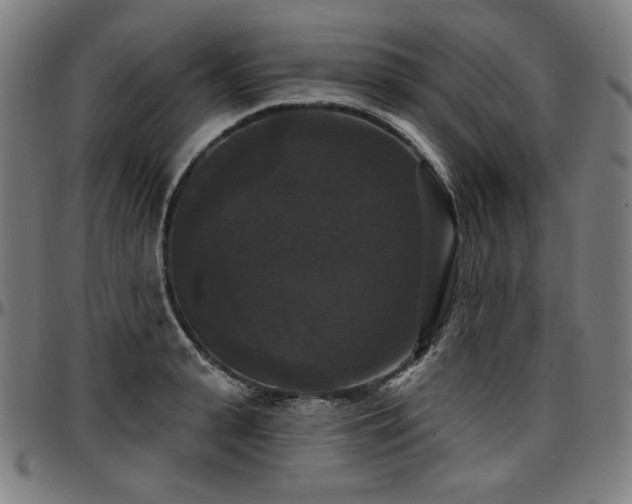 X0000097630943200802291337
