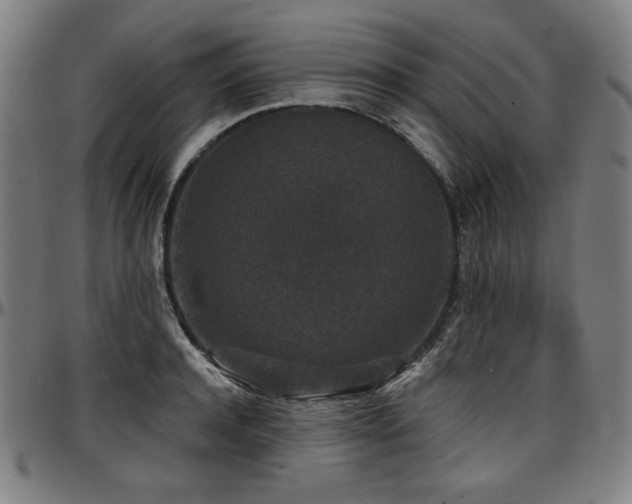 X0000097630944200802291337
