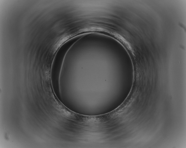 X0000097630945200802291337